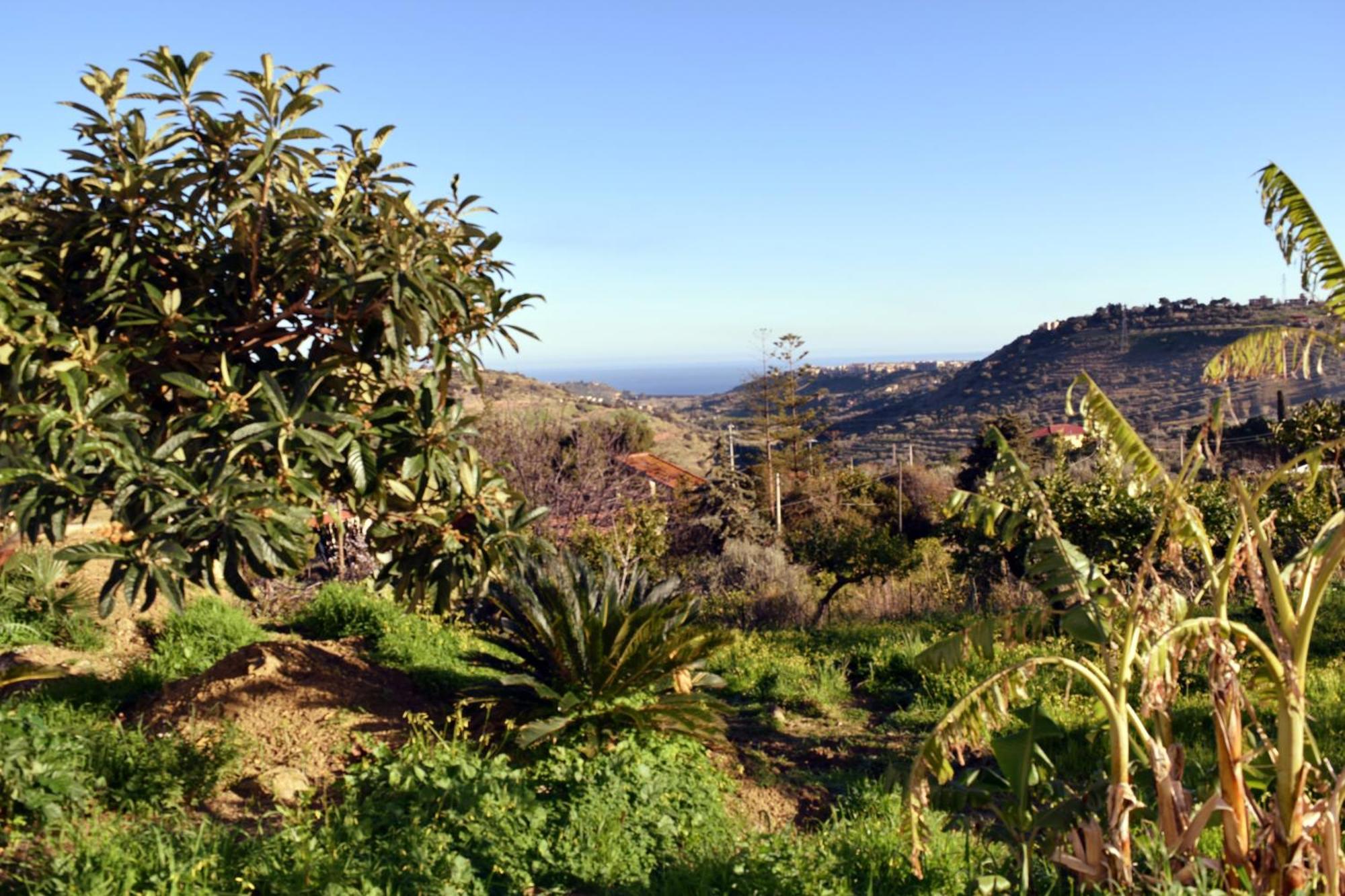 Granatelli Holiday Home อัลตาวิลลา มิลิเชีย ภายนอก รูปภาพ